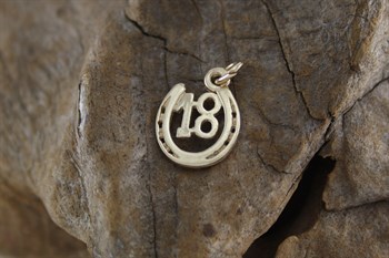 9ct yg 18 Horseshoe charm