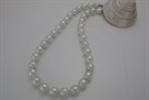 Pearl Strand